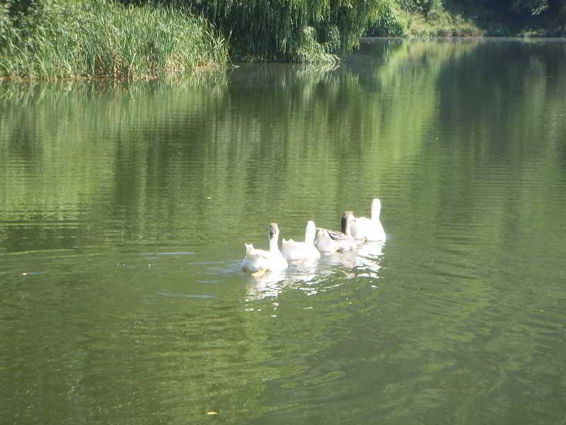 The Lake Villa Szmoljan Kültér fotó